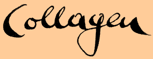 Collagen